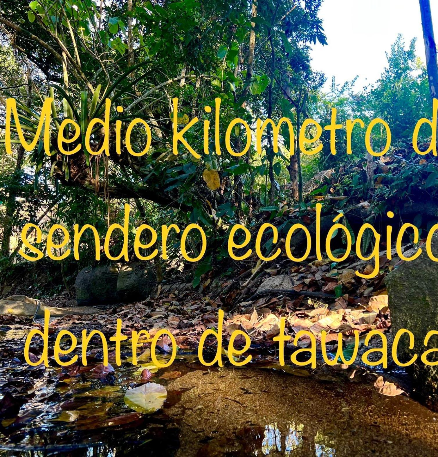 Tawaca Ecohotel Calabazo  Esterno foto